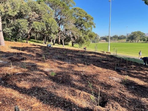 Charterhouse Australia Earth Day 4